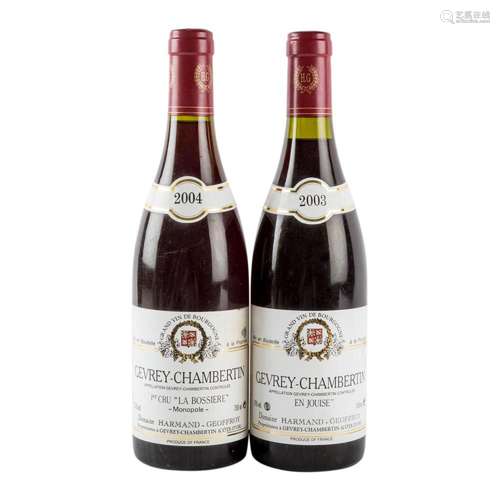 DOMAIN HARMAND-GEOFFROY 2 Flaschen GEVREY-CHAMBERTIN 2003 (1...