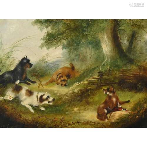 Frank W. Cassell, Terriers Cornering a Fox