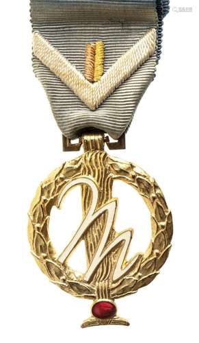 ITALY, KINGDOM MEDAL OF HONOR OF FASCI FEMMINILI GOLDEN BRON...