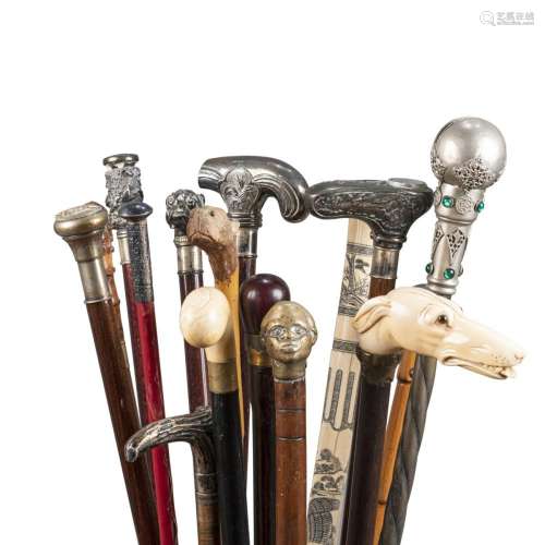 Walking sticks collection (16)