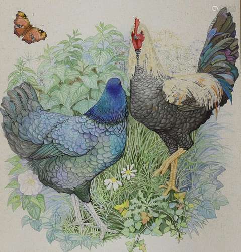 Kristen Rosenberg (b.1933), watercolour, Two exotic cockerel...