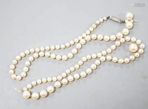 A single strand graduated cultured pearl necklace, 48cm stri...