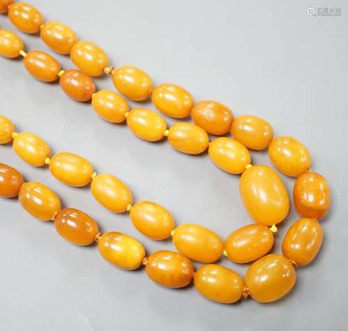 Two single strand graduated oval amber bead necklace, longes...