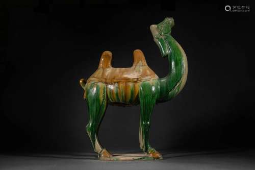 A Sancai Glazed Camel