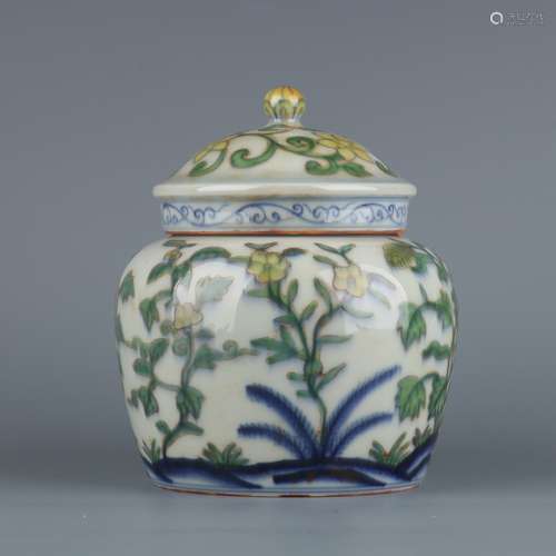 A MINGHUA  DOUCAI FLOWER PAINTING JAR