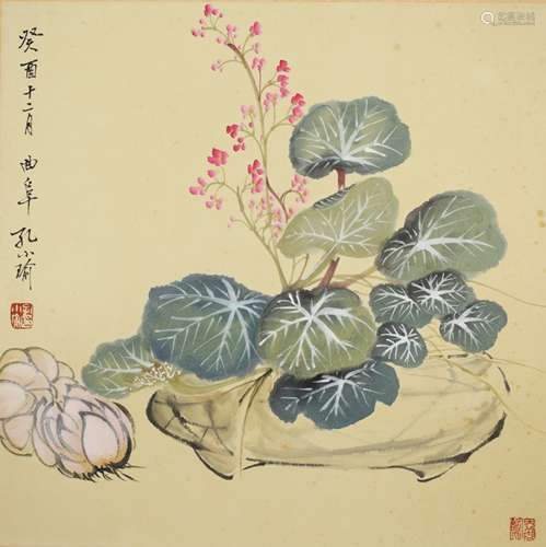 孔小瑜 花卉