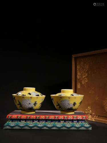 Yellow Underglazed Floral Pattern Lidded Bowl Pair