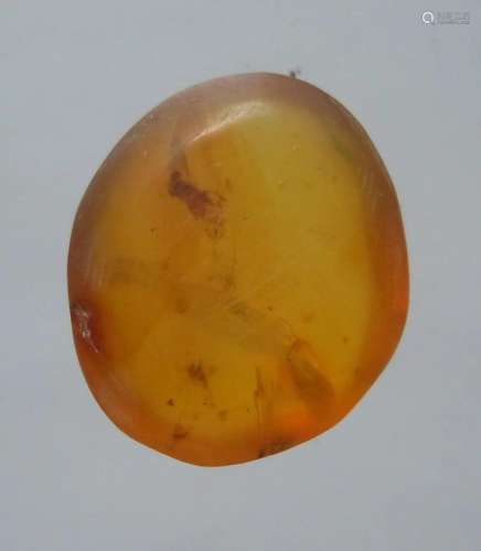 100 MILL YEARS OLD BURMITE AMBER WITH FLY