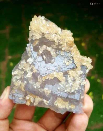 Amazing Combination of Fluorite With Calcite Cluster - 261 G...