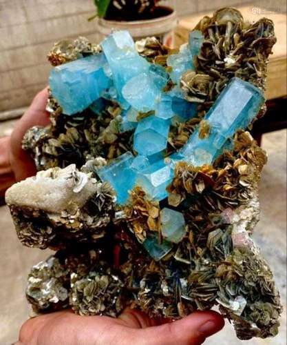 Collection Piece - 2 KG Aquamarine Crystals Cluster On Mica