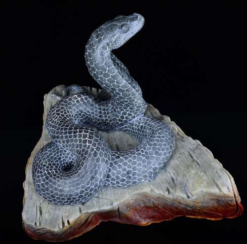 石料：寿山高山石 题材：眼镜蛇