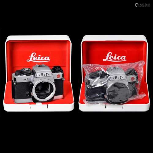 Leica R7 and R6