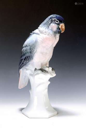 Large parrot, Ens, Volkstedt, 1920s, underglaze