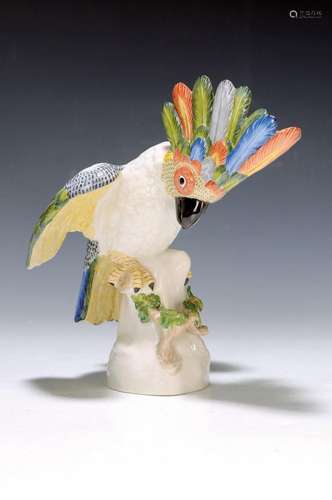 Porcelain figure, Nymphenburg, around 1910, cockatoo on