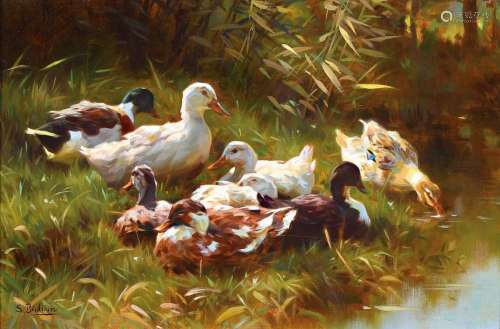 Sergio Budicin, born 1939, ducks on the shore,oil/painting