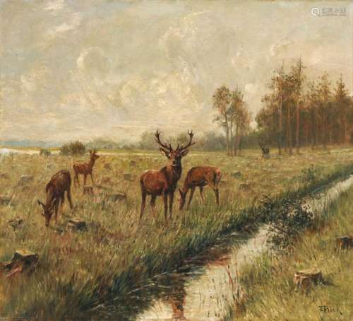 Emil Rieck, Wiese mit Rotwild am Bachlauf. Early 20th cent.