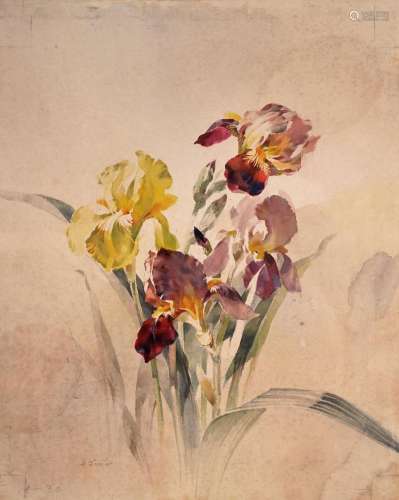 Arno Drescher, Schwertlilie / "Vase mit exotischen Blüt...