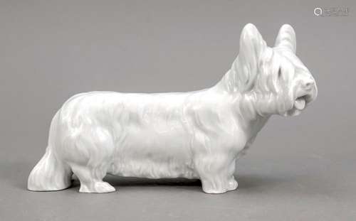 Skye terrier, Meissen, mark after 197