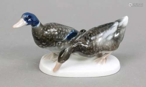 Pair of ducks, Rosenthal, Selb, 20th