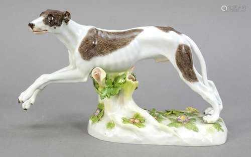 Greyhound, running, Meissen, commemor