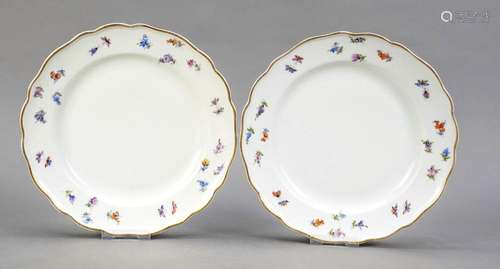 Pair of dinner plates, Potschappel, C