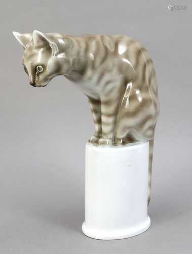 Sitting tiger cat on oval plinth, Hut