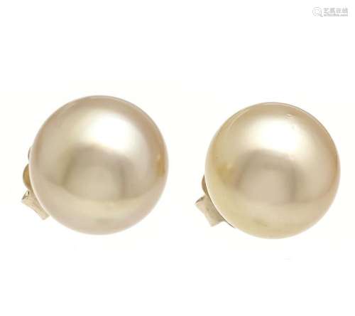 South Sea pearl stud earrings