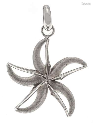 Star pendant WG 585/000 L. 38