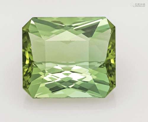 Tourmaline 9.87 ct, octagonal