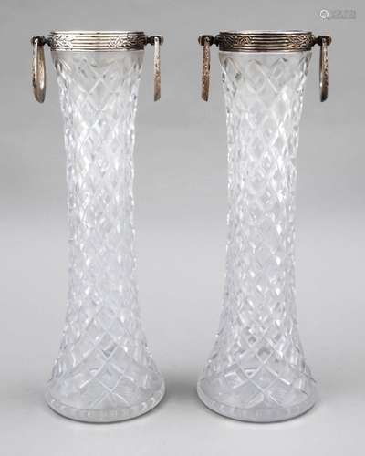 Pair of vases with silver rim