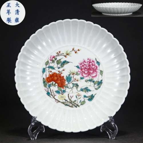 A Chinese Famille Rose Chrysanthemum Plate Qing Dyn.
