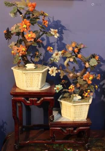 Pair of Chinese Agate Flower Bonsai Tree in Plante