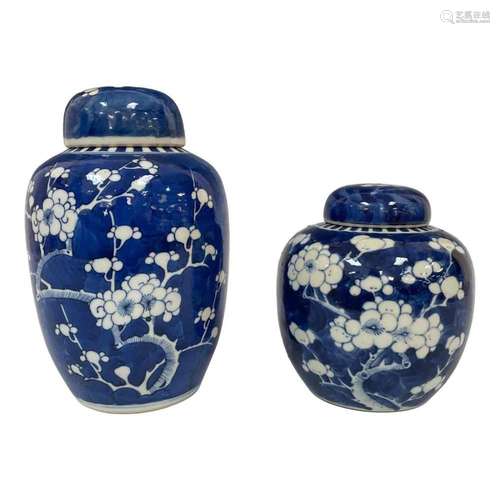 Two Chinese Prunus Tree Porcelain Jars