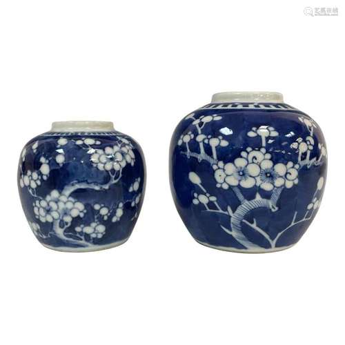 Two Blue and White Chinese Porcelain Prunus Tree Jars