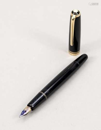 Montblanc piston fountain pen, 196