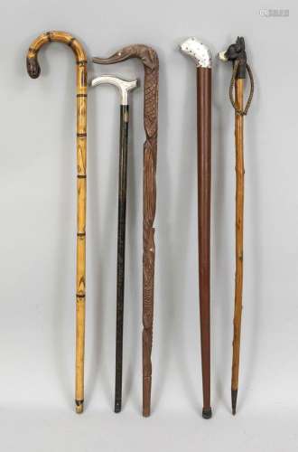 Set of 5 walking sticks, 19th/20th