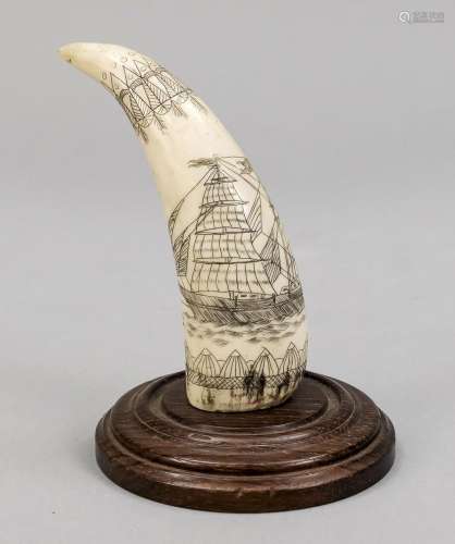 Walrus tooth with ship scene, mid