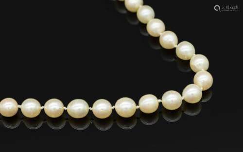 Necklace made of cultured akoya pearls