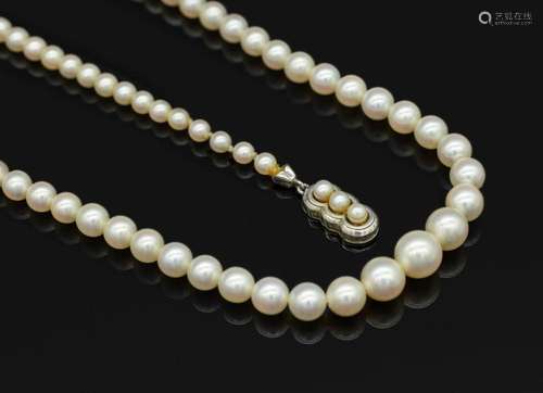 Necklace made of cultured akoya pearls