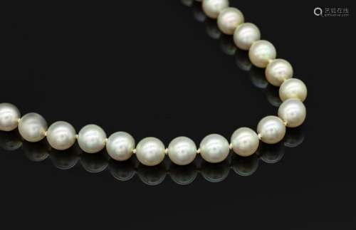 Long necklace made of cultured akoya pearls