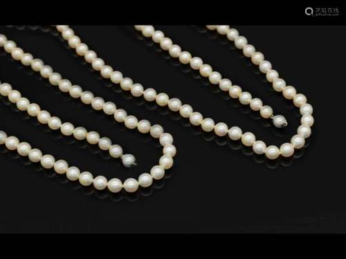 Cultured akoya pearls necklace with clasp in 14 kt gold
