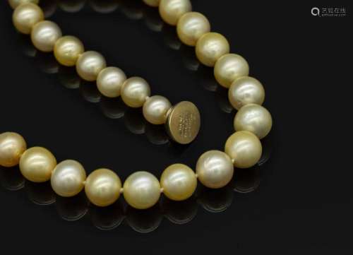 necklace made of cultured south seas pearls with 14 kt gold ...