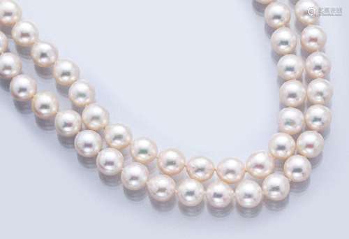 2 cultured akoya pearls necklaces, clasp 14 ktgold,