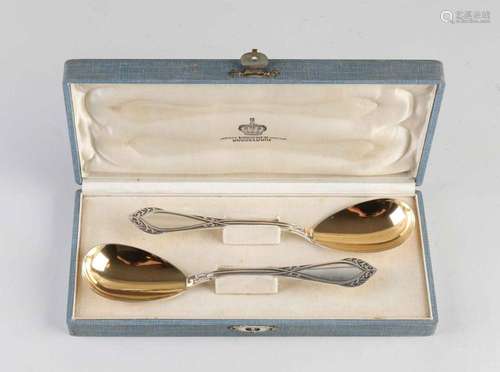 Two silver spoons