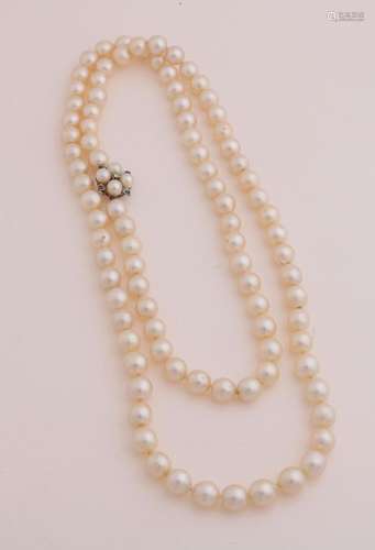 Necklace of cultured pearls with white gold.