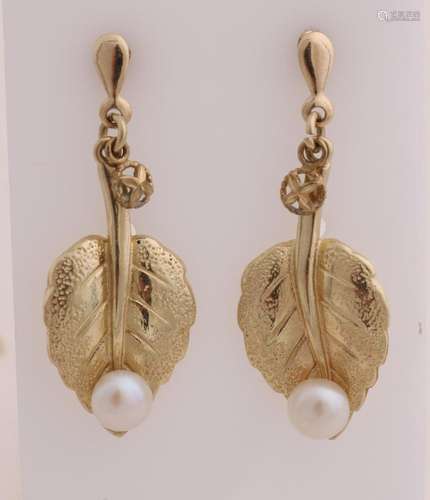 gold earrings