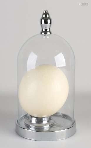 Ostrich egg under bell jar