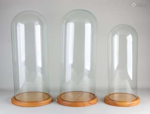 Three large glass domes, H 50 - 56 cm.