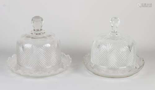 Two antique bell jars, 1900