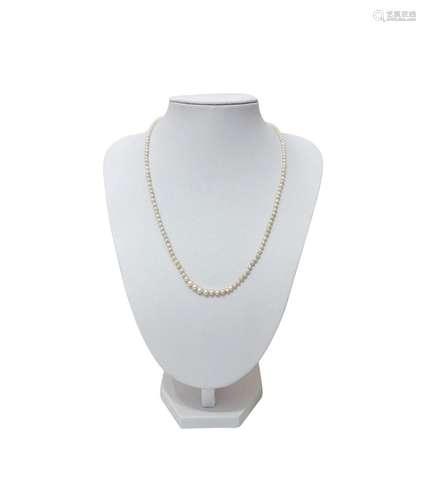 Single strand natural saltwater pearl necklace with a clasp ...